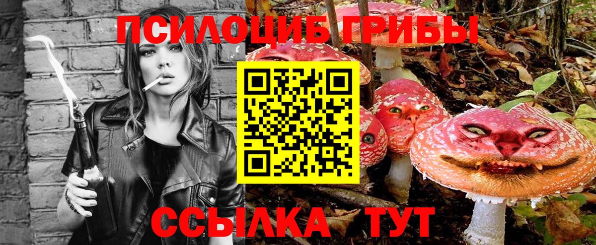 Псилоцибиновые грибы мицелий Похвистнево